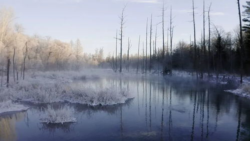 氤氲旖旎的造句优美开头，氤氲旖旎开篇句子