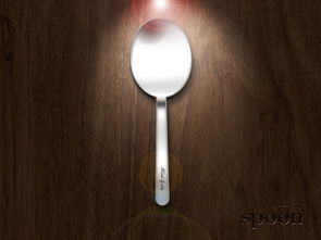 spoon怎么读，spoon翻译中文