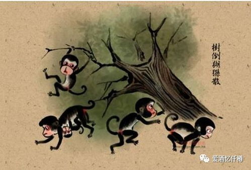 猢狲的图片，猢狲散前面一句