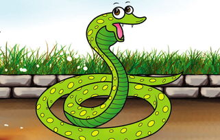 刘三姐属什么生肖