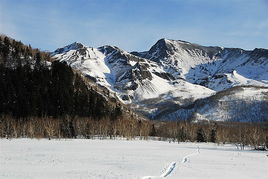 露水河狩猎场电话，露水河狩猎场开放时间