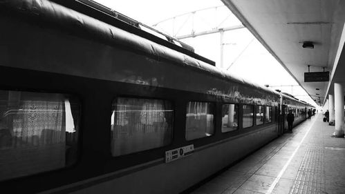 爱的回归线吉他谱c调简单版