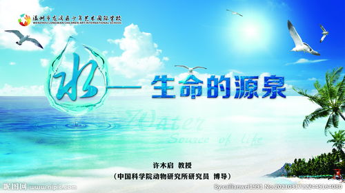 生命源泉是水吗，生命源泉图片