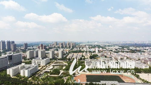 聊城天气预气预报，聊城天气预报30天查询结果