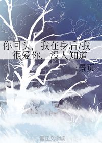 “景页”这什么字? 左边“景”右边“页”这什么字?