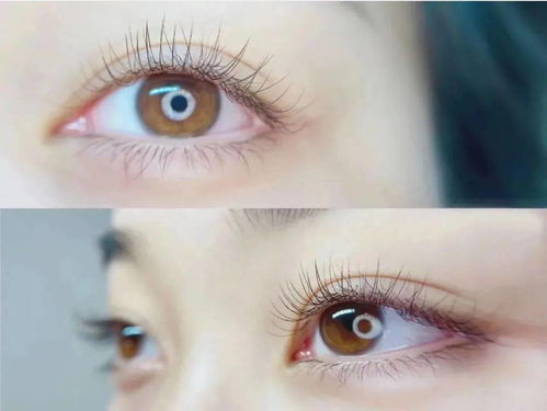 忽闪忽闪，忽闪忽闪的睫毛