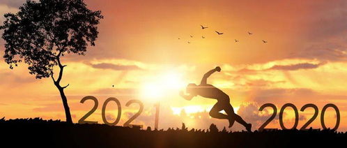 飞逝而过是什么意思，飞逝的巨礁读书笔记摘抄