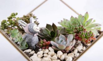 光遇，光遇官服下载