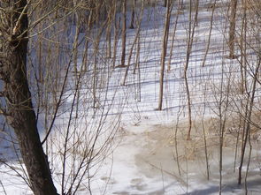 残冬是什么意思