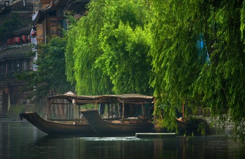 曾的拼音和组词组词语，曾经的曾的拼音和组词