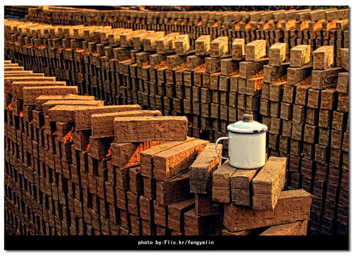 砖厂联系方式，砖厂砖机