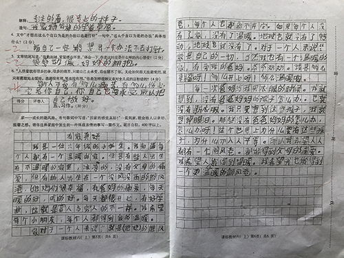 有家真好作文800字，有家真好作文300字
