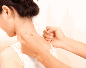 捶背的读音捶背的读音是什么