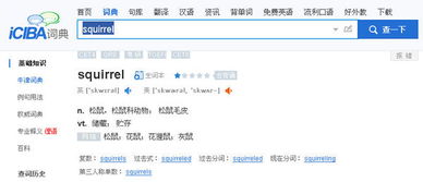 squirrel怎么读