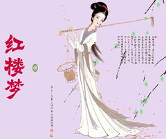 红楼梦经典语录及感悟，红楼梦经典语录名句大全