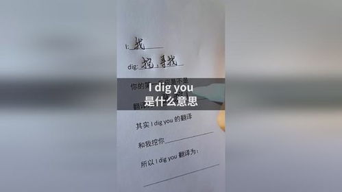 dig什么意思