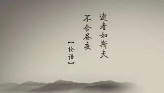 浮华是什么意思