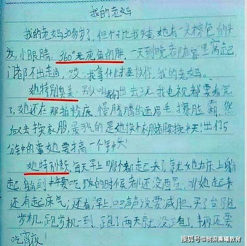 我的爸爸100字优秀作文，作文爸爸100个字数