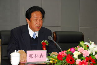 张林森这个名字怎么样，张林森简介