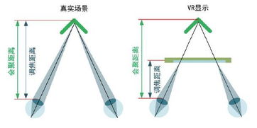 辐辏的解释辐辏的解释是什么