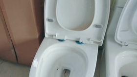 马桶盖酒店多少钱一晚，长兴马桶盖酒店