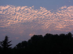 秋云是什么意思，秋云简介
