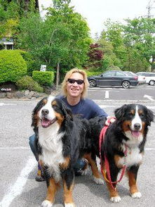 如龙极第六章攻略