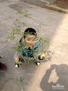 鸟窝怎么做手工制作