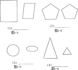 相似图形思维导图，相似图形一定是位似图形吗