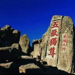 泰山北斗什么生肖，泰山北斗是什么生肖动物