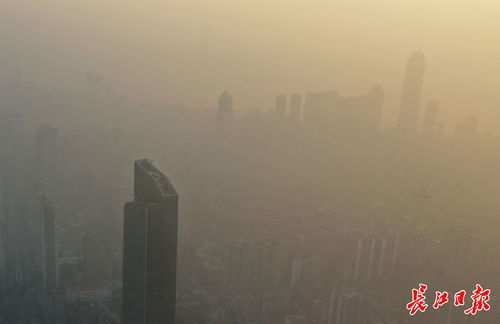甲状腺弥漫什么意思，生事且弥漫什么意思