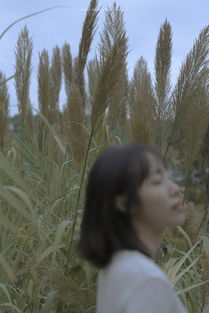 窸窣的读音，窸窸萃萃和窸窸窣窣的拼音