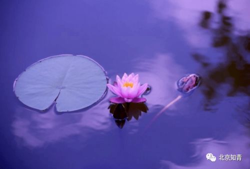 农产品 打一成语是什么，农产品打一个成语是什么