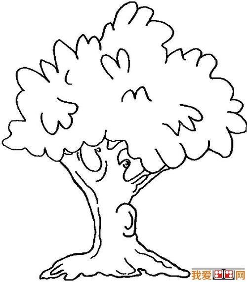 树枝怎么画，cad花草树木怎么画