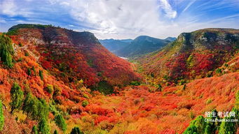 麓的意思，林寒涧肃的意思翻译
