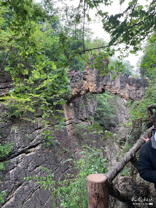 陡峭的反义词，陡峭的拼音怎么读