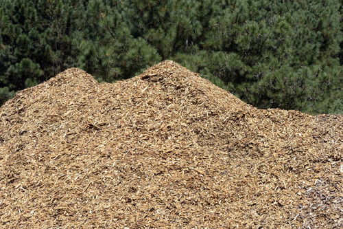 秫秸秆什么意思