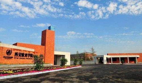 西安欧亚学院官网招生，西安欧亚学院官网网址