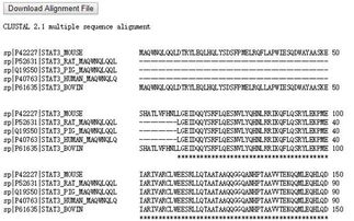 演员文章的身高多少