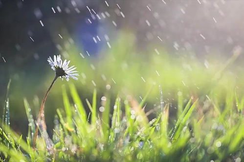 春风野火的意思