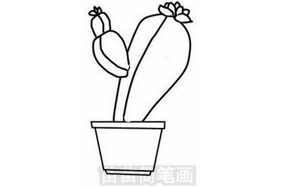 仙人掌简笔画怎么画 仙人掌的简笔画步骤图解教程