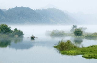 湖上晚归，湖上徐元杰