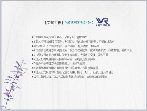 工程立项报告书，立项报告书是谁写