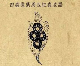 守庚申正确方法，守庚申的禁忌