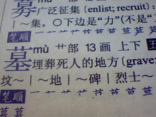 飞是什么结构的字体