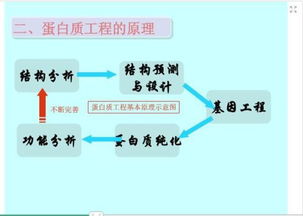 基因工程和蛋白质工程有什么区别