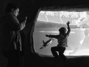 关于好奇心的名言和事例，关于好奇心的名人故事50字