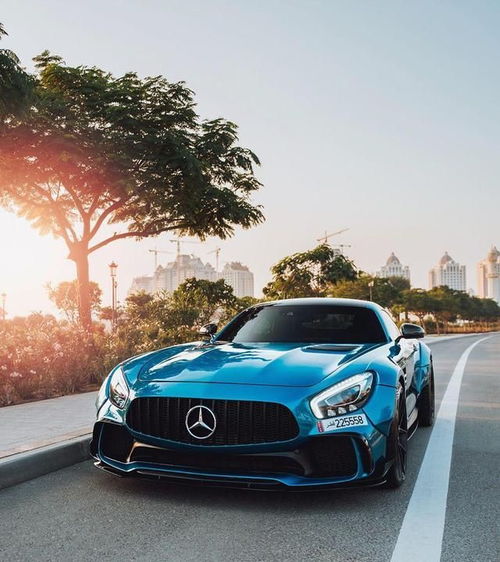 prioritize，prioritise