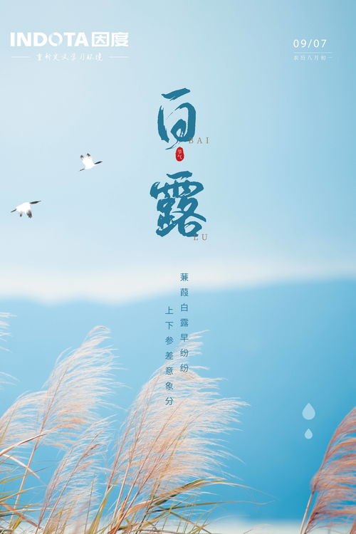 参差荇菜，参差荇菜,左右采之,窈窕淑女,琴瑟友之