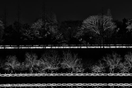 窸窸窣窣的拼音和意思